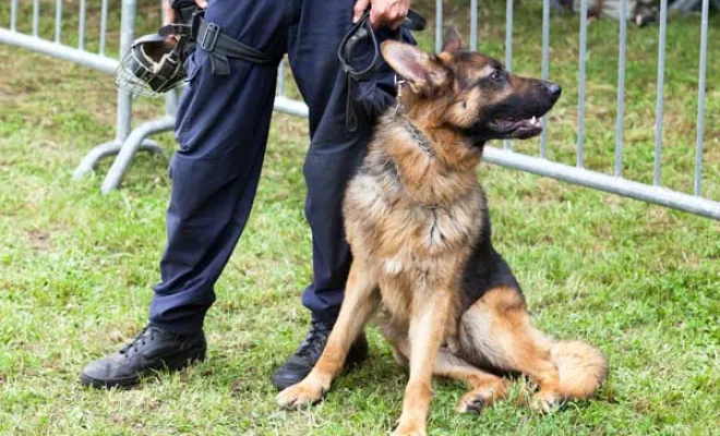 Chiens de travail à l'adoption, Marne, Les jardins de la défense