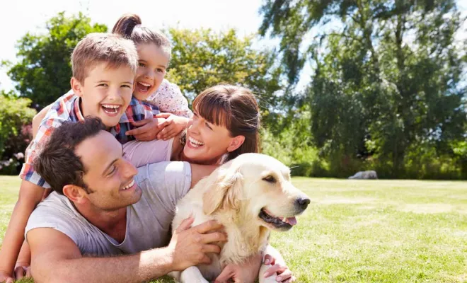 Adoption chiens, Marne, Les jardins de la défense